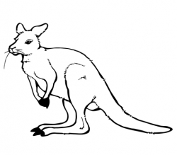 Cute Kangaroo coloring page | Free Printable Coloring Pages