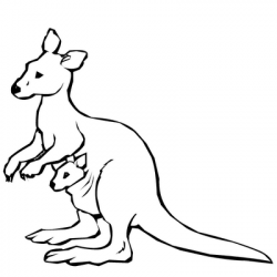 kangaroo color sheet | Kangaroo drawing, Animal coloring ...