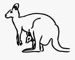 Australian Drawing Animal Native - Kangaroo Clipart #1538169 ...