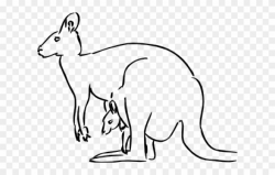 Kangaroo Clipart Easy - Png Download (#2784622) - PinClipart