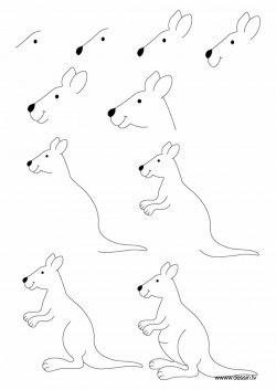How to draw a Kangaroo in 2019 | Kangaroo drawing, Easy ...