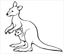 Kangaroo Outline | Free download best Kangaroo Outline on ...