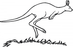 Free Kangaroo Outline, Download Free Clip Art, Free Clip Art ...