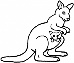 Free Kangaroo Outline, Download Free Clip Art, Free Clip Art ...