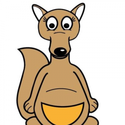 Kangaroo Pouch (@PouchKangaroo) | Twitter