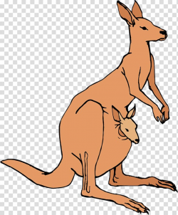 Australia Kangaroo , Hopped transparent background PNG ...