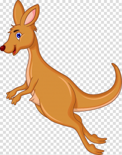 Download for free 10 PNG Kangaroo clipart transparent ...