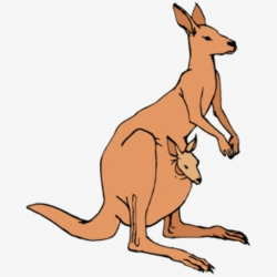 PNG Kangaroo Png Cliparts & Cartoons Free Download - NetClipart