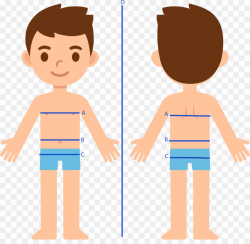 Body Parts Children PNG Child Human Body Clipart download ...
