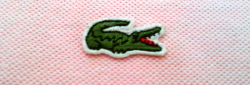 First Versions: Lacoste (polo shirts)