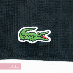 Supreme X LACOSTE 2019AW Logo Panel Hooded Sweatshirt シュプリーム X Lacoste logo  panel hooded sweat shirt parka pullover black size XL present gift
