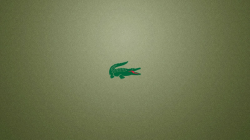 Had Lacoste learnt from its brand image crisis? | The blog of ...
