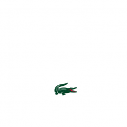 Lacoste brand book pdf