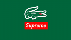 Lacoste Logo Wallpapers - Wallpaper Cave