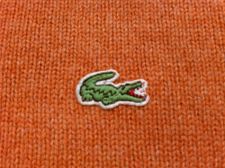Of A Crocodile In The Wrong Place | Thrift Store Preppy