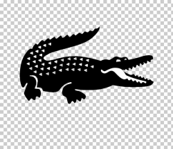 442 Lacoste PNG cliparts for free download | UIHere