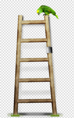 Wood Ladder Stairs, Wooden ladders transparent background ...