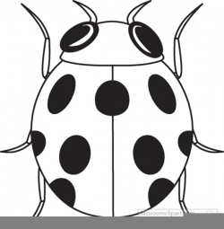Ladybug Clipart Black And White | Free Images at Clker.com - vector ...