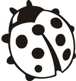 Free Black Ladybug Cliparts, Download Free Clip Art, Free Clip Art ...