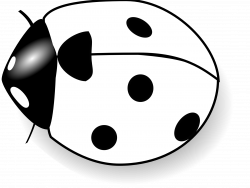 Ladybug Clipart Black And White | Clipart Panda - Free Clipart Images