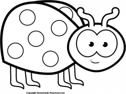 Free ladybug clipart 4 - Cliparting.com
