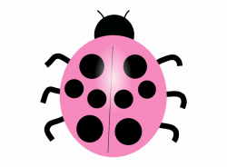 Different Color Ladybug Clip Art Free PNG Images & Clipart Download ...