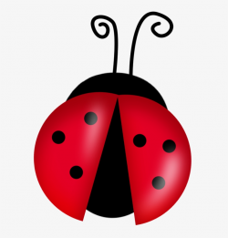 Cute Ladybugs Clipart - Cartoon Ladybug - Free Transparent PNG ...