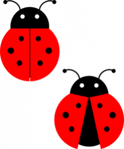 Free Cute Ladybug Cliparts, Download Free Clip Art, Free Clip Art on ...