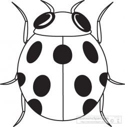 Ladybug outline clipart 3 wikiclipart - ClipartPost