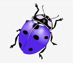 Ladybug Clipart Purple - Ladybird Black And White - Free Transparent ...