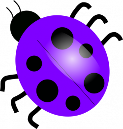 Purple Ladybugs Clip Art at Clker.com - vector clip art online ...