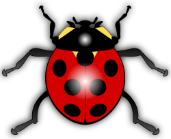 Everything Ladybug! The source for Ladybug Stuff!