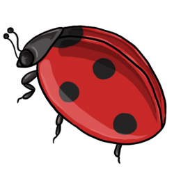 Free Free Ladybug Cliparts, Download Free Clip Art, Free Clip Art on ...