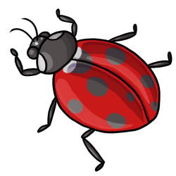 Free Ladybug Images, Download Free Clip Art, Free Clip Art on ...