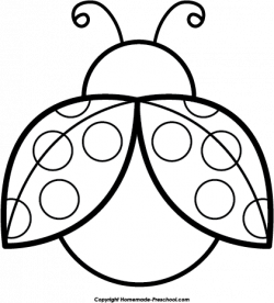 Free Ladybug Clipart