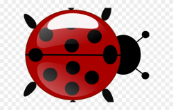 Ladybug Clipart Transparent Background - Png Download (#2563820 ...