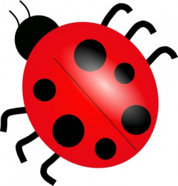 Ladybug clip art free vector in open office drawing svg svg ...