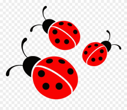 Ladybug Vector Image - Ladybug Png Clipart (#235936) - PinClipart