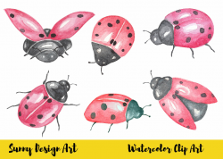 Watercolor ladybug clipart, Scrapbook Clipart , Ladybird clipart, 6 ...