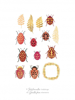 Red Ladybug Clipart, gold & watercolor ladybird beetle illustration ...