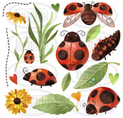 Watercolor Ladybug Clipart
