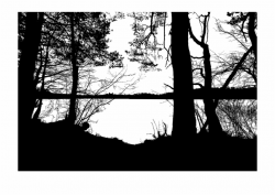 Free Forest Tree Line Silhouette, Download Free Clip Art ...