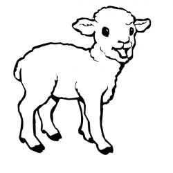 Free Lamb Cliparts, Download Free Clip Art, Free Clip Art on ...