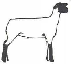 Free Market Lamb Cliparts, Download Free Clip Art, Free Clip ...