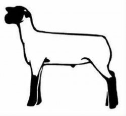 Free Market Lamb Cliparts, Download Free Clip Art, Free Clip ...