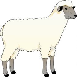 Lambs Clipart | Free download best Lambs Clipart on ...