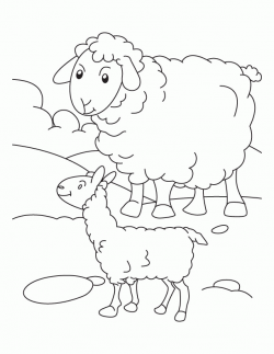 Mother sheep with its lamb coloring page | Download Free ...