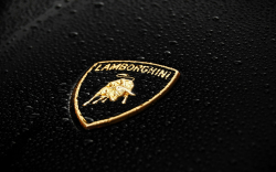 Lamborghini Logo | Lamborghini badge, Lamborghini pictures ...