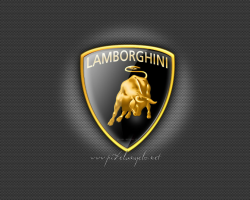 Lamborghini Carbon Fiber Logo | Xclusief Autoverhuur ...