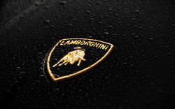 Cool Lamborghini Logo wallpaper | 1920x1200 | #27640